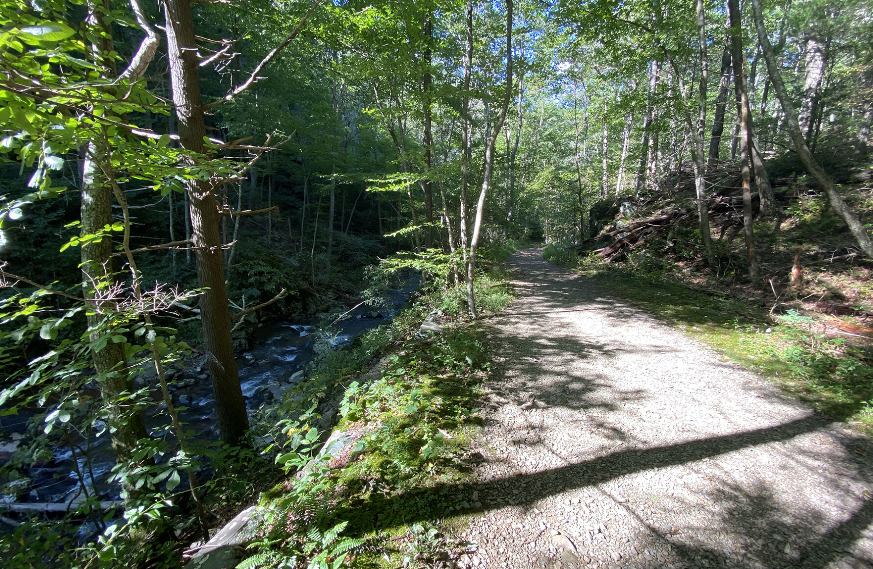 Relatively flat trails await along the Moormans River